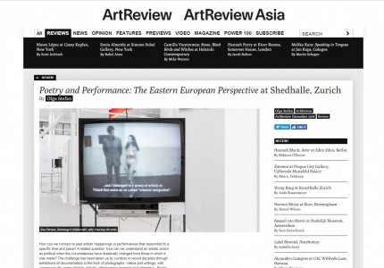 Poetry and Performance: The Eastern European Perspective at Shedhalle, Zurich